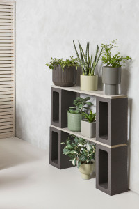 How to create a cosy living room using colour PLUS make your own plant stand and giant Jenga How to create a cosy living room using colour PLUS make your own plant stand and giant Jenga