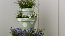 A warm green welcome: DIY plant pots for your entryway