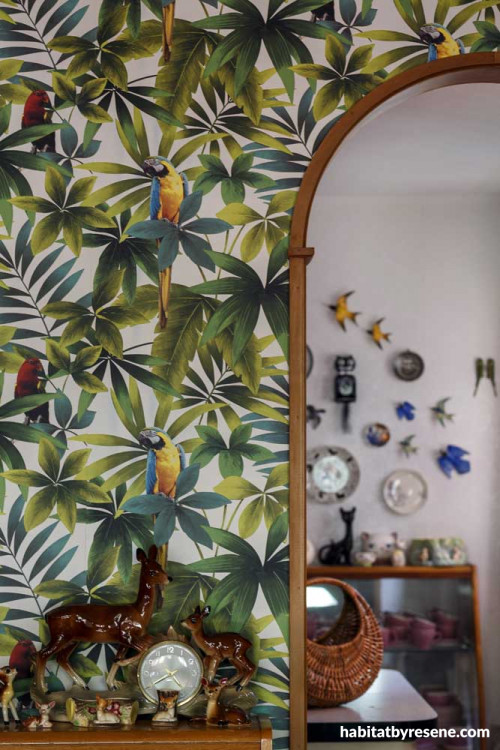 macaw wallpaper, dining room