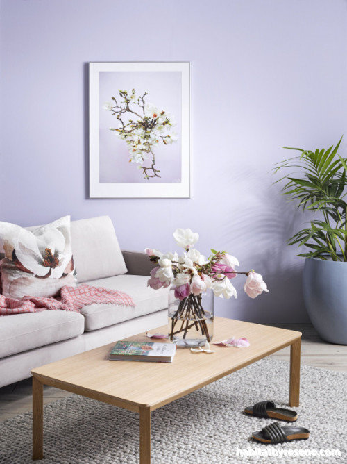 Purple Living Room