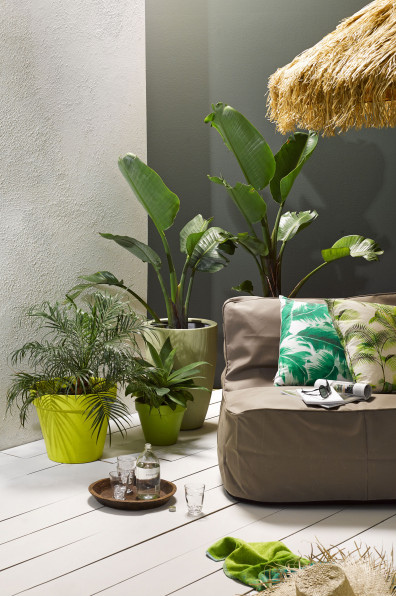 Make your garden pop with these colourful ideas Make your garden pop with these colourful ideas