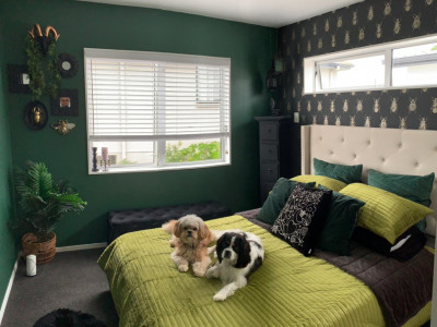 Goth but make it glam: Creative couple go to the dark side with Resene Double Foundry and Resene Permanent Green Goth but make it glam: Creative couple go to the dark side with Resene Double Foundry and Resene Permanent Green