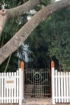 This century-old Brisbane Queenslander is transformed into a tropical oasis with summer green Resene Edgewater and Resene Warrior