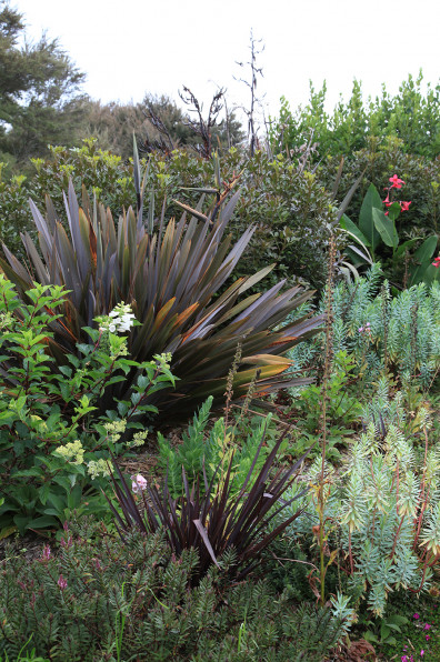 A landscape designer has found her peace in the gentle green space between bush and sea