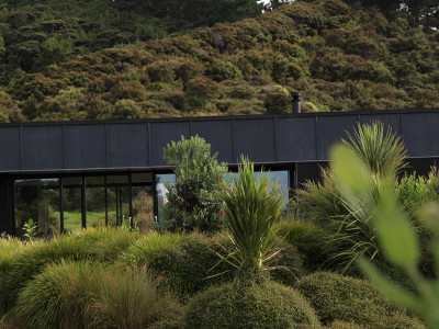 A landscape designer has found her peace in the gentle green space between bush and sea A landscape designer has found her peace in the gentle green space between bush and sea