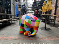 Elmer’s Elephant Trail: Colourful art with a good cause
