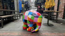 Elmer’s Elephant Trail: Colourful art with a good cause photo
