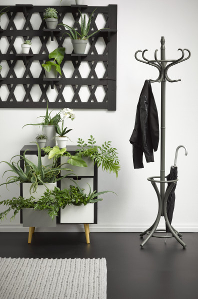 Paint it black: Bold and brilliant ideas for using this dark shade at home Paint it black: Bold and brilliant ideas for using this dark shade at home