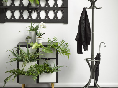 Paint it black: Bold and brilliant ideas for using this dark shade at home
