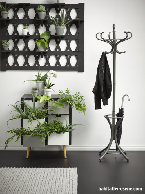 hallway, plants, chic, monochrome