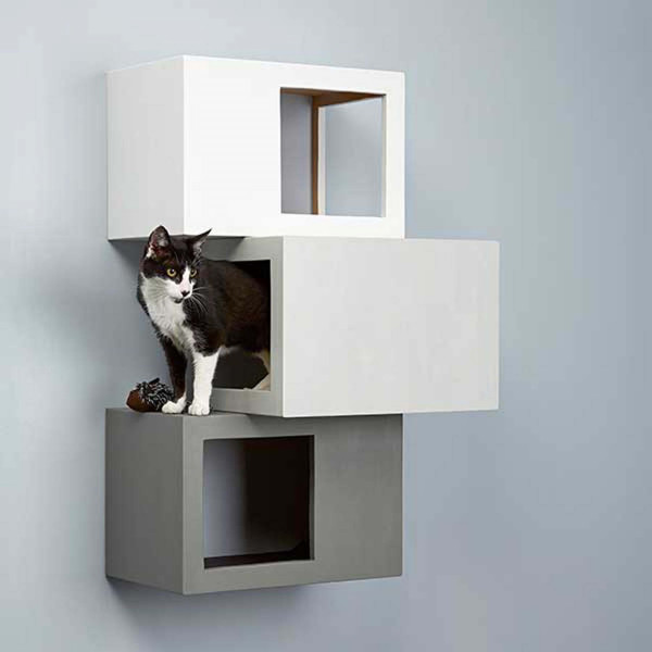 cat box EDM