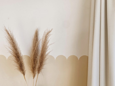 Reviving mid-century elegance: A home transformed with timeless shades Reviving mid-century elegance: A home transformed with timeless shades