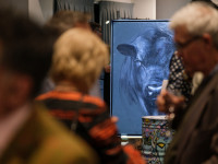 The Artex extravaganza: Unveiling New Zealand's artistic treasures