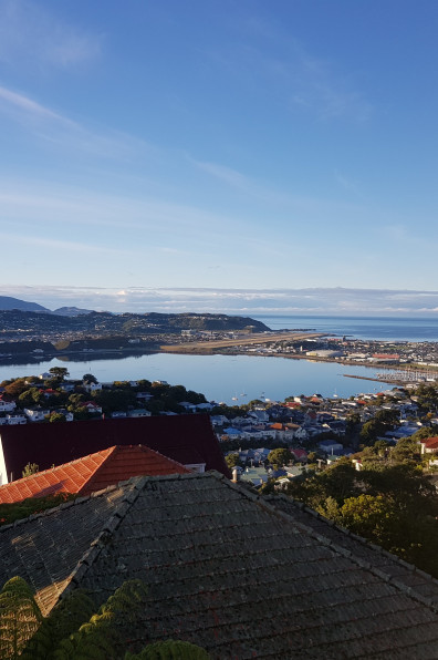A Wellington home embracing light, colour and texture A Wellington home embracing light, colour and texture