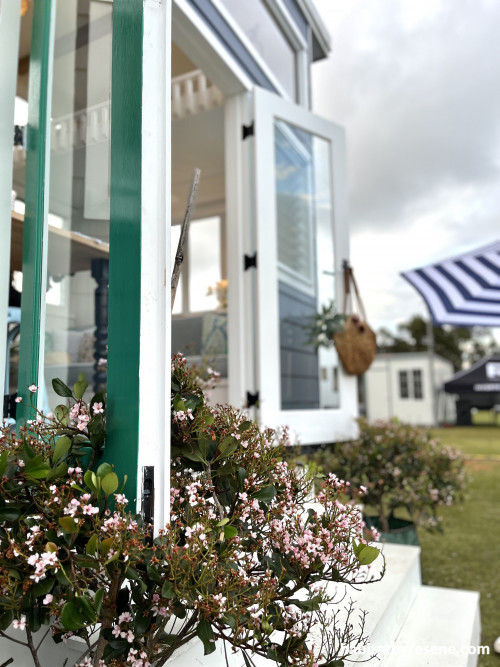 Resene tiny house exterior