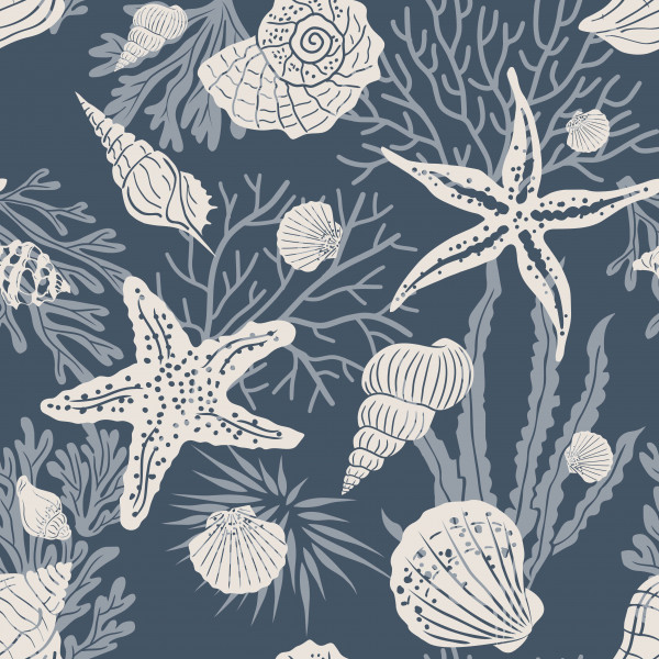 shells copy