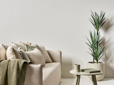 How to choose the right white for your home