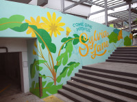 Walls that bloom with joy