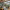 Mid-century inspired living room featuring dark green Resene Jurassic