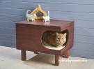A cat in a cat bed table