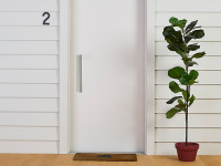 Product of the month: What’s the gloss? Product of the month: What’s the gloss?