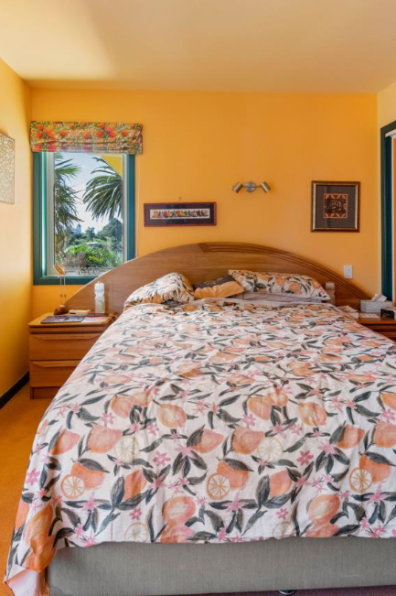 Could this be New Zealand’s brightest and boldest home?