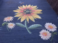 Jacqui’s pretty petals will brighten the deck Jacqui’s pretty petals will brighten the deck