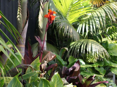 Is it time for a fence refresh? 6 ways that paint can elevate your home’s fencing and exterior   Is it time for a fence refresh? 6 ways that paint can elevate your home’s fencing and exterior