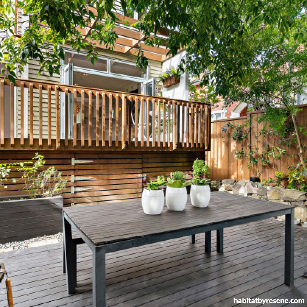 best fence stain nz