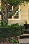 Going, going gone: Expert shares décor and colour tips that will help sell your home
