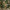 Dining room, olive green dining room, green dining room
