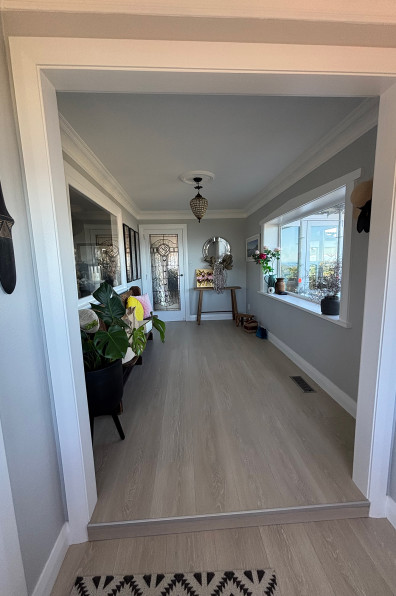 A fresh coat of charm: Breathing new life into a Wellington gem A fresh coat of charm: Breathing new life into a Wellington gem