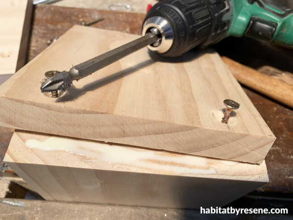 A piece of wood with a drill and 2 screws