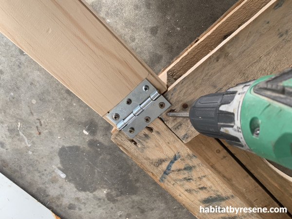 A drill screwing a hinge to wood