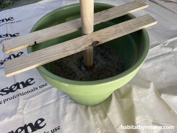 A plant pot with concrete