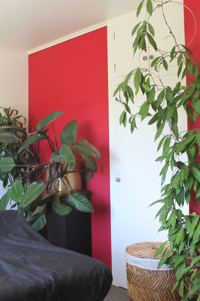 A maximalist mid-century home brought to life with colour and hard work