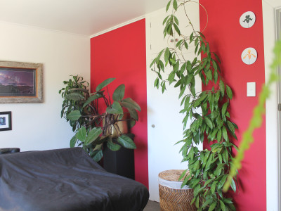 A maximalist mid-century home brought to life with colour and hard work