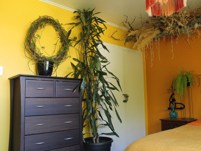 A maximalist mid-century home brought to life with colour and hard work A maximalist mid-century home brought to life with colour and hard work