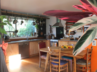 A maximalist mid-century home brought to life with colour and hard work