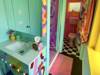 A bold colour move for Louise’s bathroom