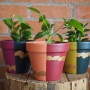 Plant pots, multi-colour plant pots