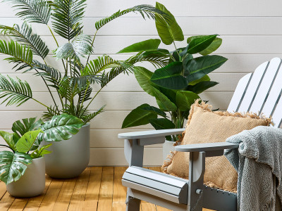 Decked out for winter Decked out for winter