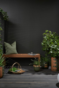 Decked out for winter Decked out for winter