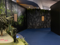 Muros create a nature wonderland at Waikato Museum’s Exscite exhibition