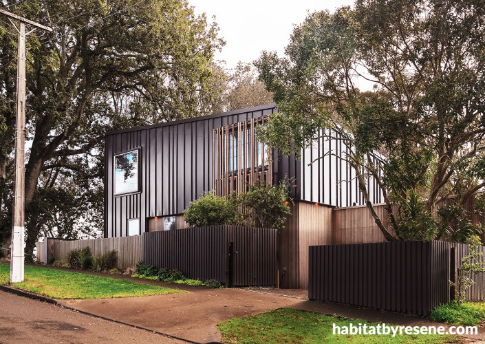 Exterior fence in Resene Black Magic