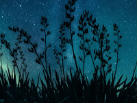 Kiwiana designs for your home to celebrate Matariki 2026 Kiwiana designs for your home to celebrate Matariki 2026
