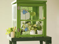Let’s get glassy: A DIY guide to make your own mini glasshouse