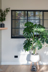 Samson House: Hues of heritage