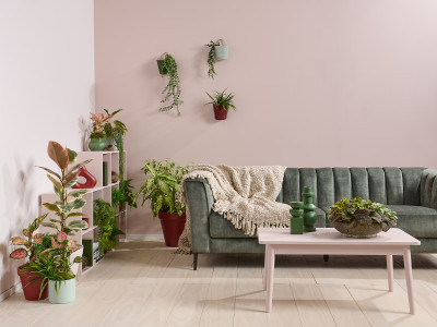 Bringing the outdoors in: Nature-inspired interiors with paints and wallpapers