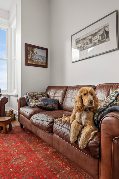 Pink walls and Pohutukawa dreams